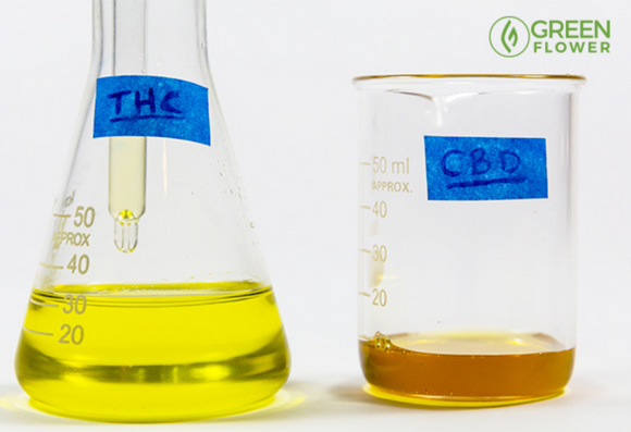 Does CBD Show Up On A Drug Test?