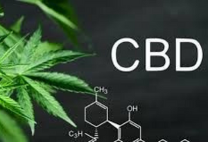CBD for Epilepsy? The Current Science on CBD for Seizure Control