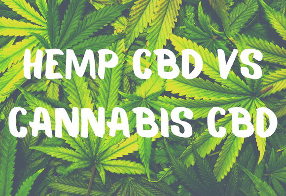 What's the Difference: Hemp CBD vs. Cannabis CBD